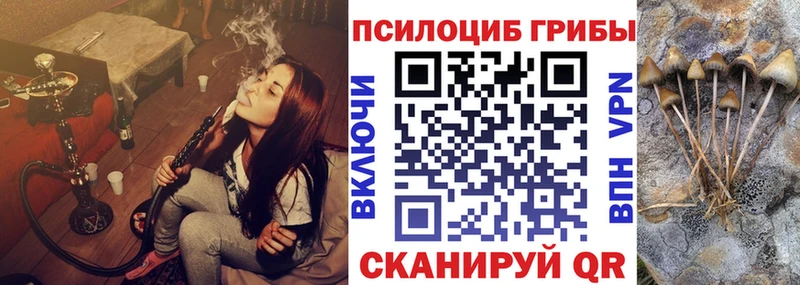 Псилоцибиновые грибы Magic Shrooms  дарнет шоп  кракен маркетплейс  Калач 